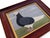 Matt Rix, Naïve Style Racing Pigeon, Oil Painting, Framed For Sale - Image 3 of 12
