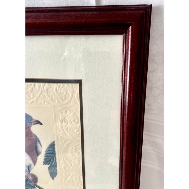 Cream Vintage Peg Wheeler Hope Ornithological "Eastern Bluebird" Framed Embossed Lithograph Print Excellent Condition. For Sale - Image 8 of 17
