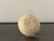 Ceramic Maritime Wall Plate with Starfish from Rügenkeramik Wilhelm Löber, GDR, 1969 For Sale - Image 7 of 11