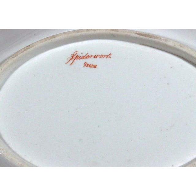 Spode Porcelain Botanical Specimen Dish- Spring Meadow Saffron, After William Curtis For Sale - Image 12 of 12