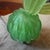 1990s Green Emerald and Amethyst Purple Murano Glass Flowering Cactus For Sale - Image 13 of 13