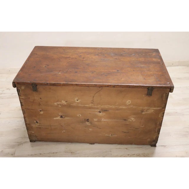 Rustic Trunk in Fir Wood, Late 19th Century For Sale - Image 3 of 12