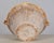 French Yellow Glazed Terracotta Tian or Grésale Bowl For Sale - Image 10 of 11