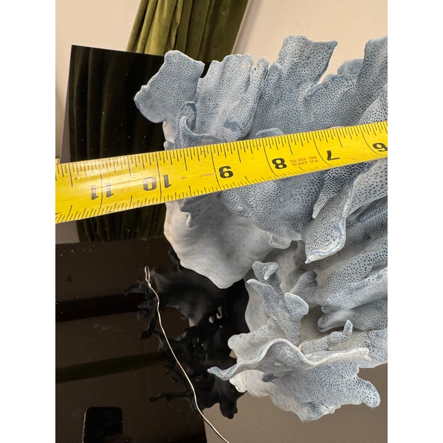 Very Large Specimen of Blue Coral For Sale - Image 9 of 12