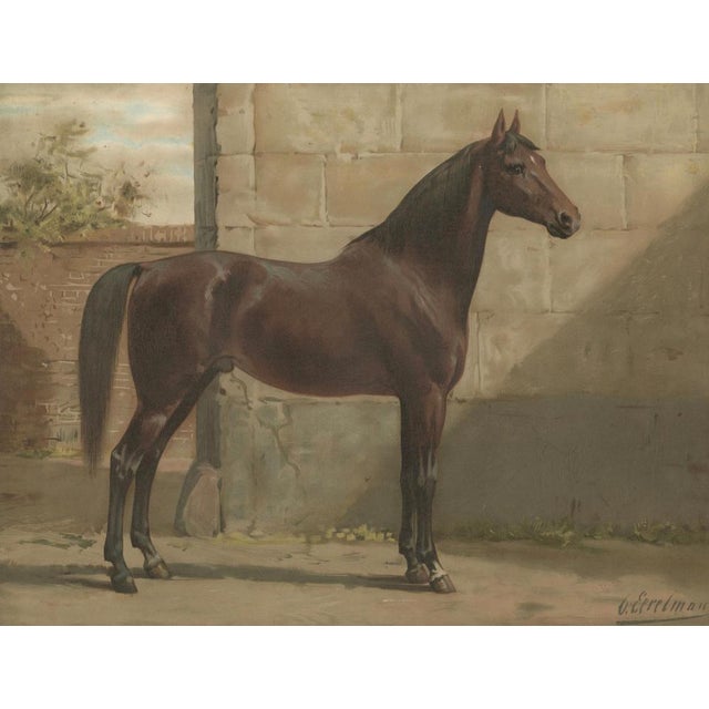 After Eerelman, East Prussian Trakehner Horse Portrait, 1898, Lithograph For Sale - Image 3 of 10