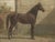 After Eerelman, East Prussian Trakehner Horse Portrait, 1898, Lithograph For Sale - Image 3 of 10