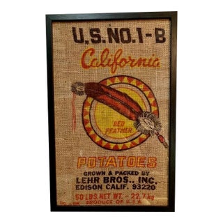 California Red Feather Graphic Americana Art For Sale