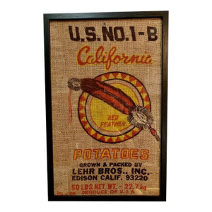 California Red Feather Graphic Americana Art