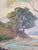 1950s Cornelia Reimer 1950's Plein Air Oil Painting Arroyo Seco California Landscape For Sale - Image 5 of 13