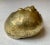 1950s Solid Sculptural Brass Shell, Italy For Sale In Los Angeles - Image 6 of 9