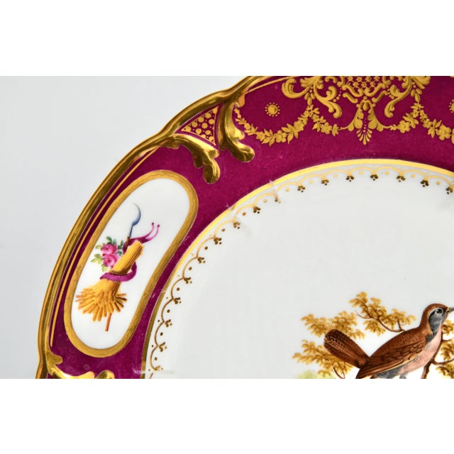 French Early 19th Century Schoelcher French Hand-Painted Ornithology Paris Porcelain Cabinet Plate For Sale - Image 3 of 8