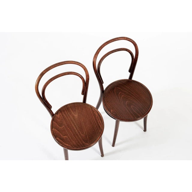 Brown Vintage Bent Wood Cafe Bistro Chairs by Drevounia, Set of 8 For Sale - Image 8 of 12