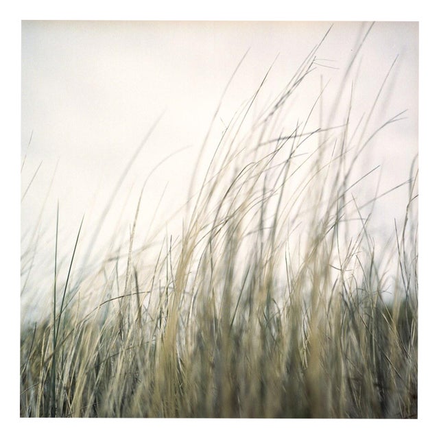 Paul Cooklin, Art, Lowestoft, Suffolk, Edition of 50 For Sale