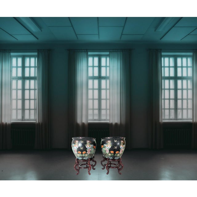 Antique Nyonya Straits Chinese Porcelain Planters, Jardinieres, Famille Noire Black With Goldfish & Phoenix Birds, a Pair, Rosewood Stands, For Sale - Image 13 of 15