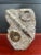 Fossilized Ammonite Plate in Stone For Sale - Image 5 of 5