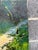 Vintage p.g. Tiele Signed Impressionist Oil Painting of Children Feeding Birds For Sale - Image 4 of 7