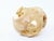 Early 21st Century 2010's Hand Carved Tagua Nut Dragon - 2-1/2" X 3" - Figurine - Vegetable Ivory For Sale - Image 5 of 14