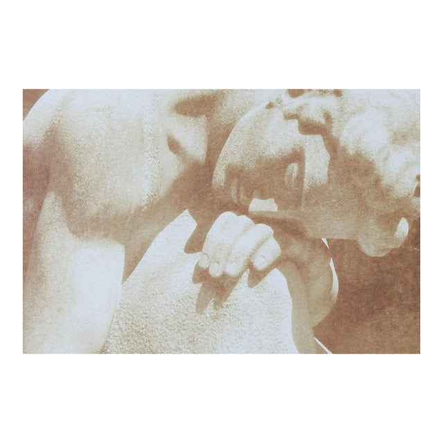 Vintage Cyanotype Sepia Photograph of Male Sculpture For Sale