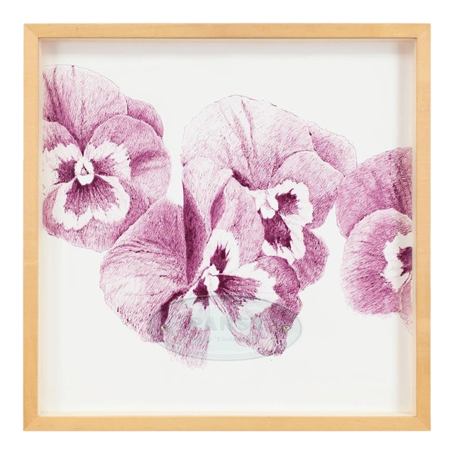 Ken Aptekar, the Name of the Flower: Pansy “Joker Viola-Gold” For Sale