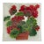 1990s American Handmade Peggy Karr Fused Glass Potted Geranium Square Plate Tray For Sale
