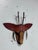 Contemporary Hilary Handcrafted Clay Animal Wall Mask For Sale - Image 3 of 12
