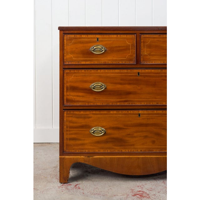 19th Century 19th Century Flat Front Mahogany Chest For Sale - Image 5 of 14
