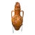 Antique Italian Terra Cotta Covered Urn Vase Grape Vine Relief 2 Handle Decorative Jar For Sale