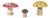 Set of Three American Midcentury Painted Concrete Mushroom Garden Ornaments For Sale