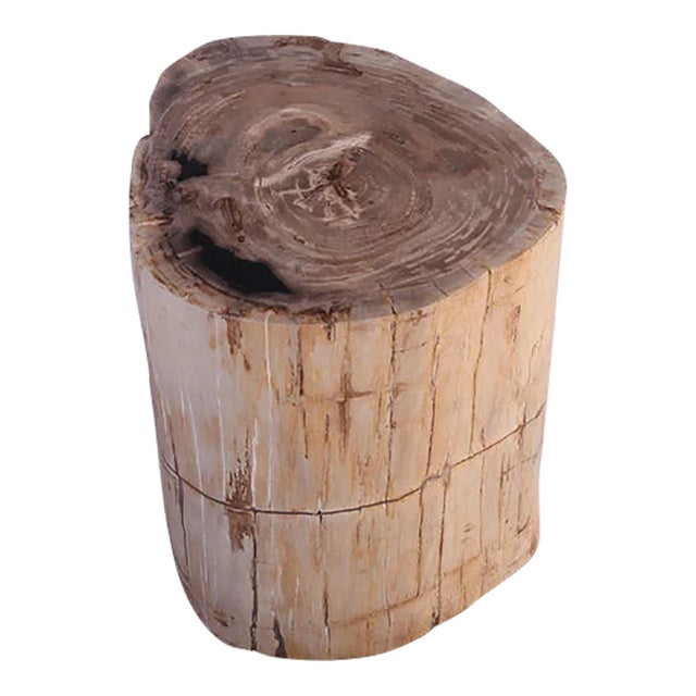 Petrified Wood Stool Accent Table 212 For Sale