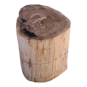 Petrified Wood Stool Accent Table 212