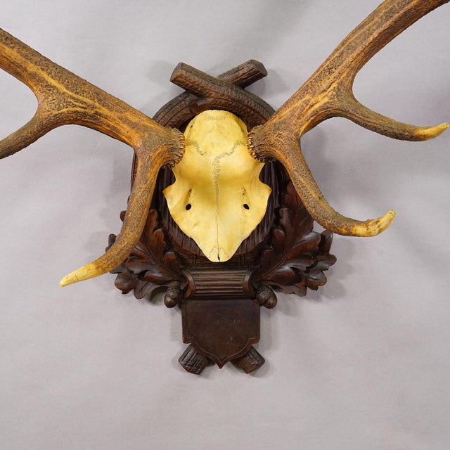 Black Forest 8 Pointer Red Deer Trophy on Carved Plaque Germany 1930s For Sale - Image 6 of 7