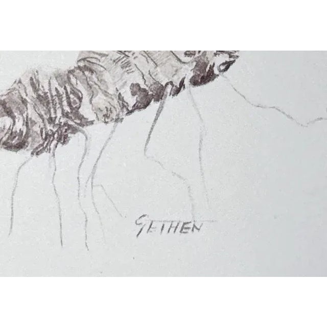 Vintage Botanical Print For Sale - Image 14 of 14