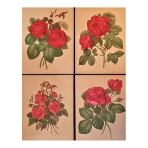 1885 Set of 4 French Antique Botanical Chromolithographs-Red Roses