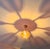 1980s 1970s Mid-Century Modern Style Hand-Painted Salmon Pink Glass Floral Globe Chandelier⁠ For Sale - Image 5 of 17