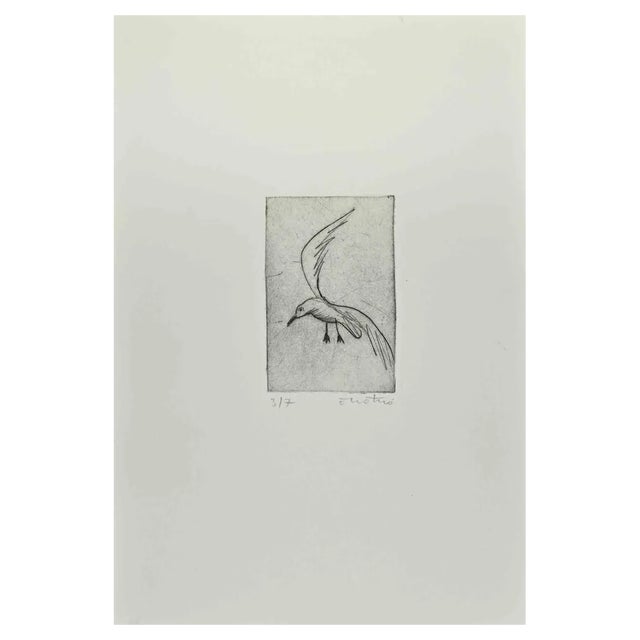 Enotrio Pugliese, Seagull, Etching, 1963 For Sale