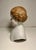 Antique Bisque Porcelain Shoulder Head Molded Hair Doll Numbered Aprox. dimensions: 6.5"H x 5"W x 3"D Very good original...