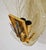 Mid-Century Modern Murano Glass Wall Lamp with Graniglia Details, Italy, 1980s For Sale - Image 3 of 17