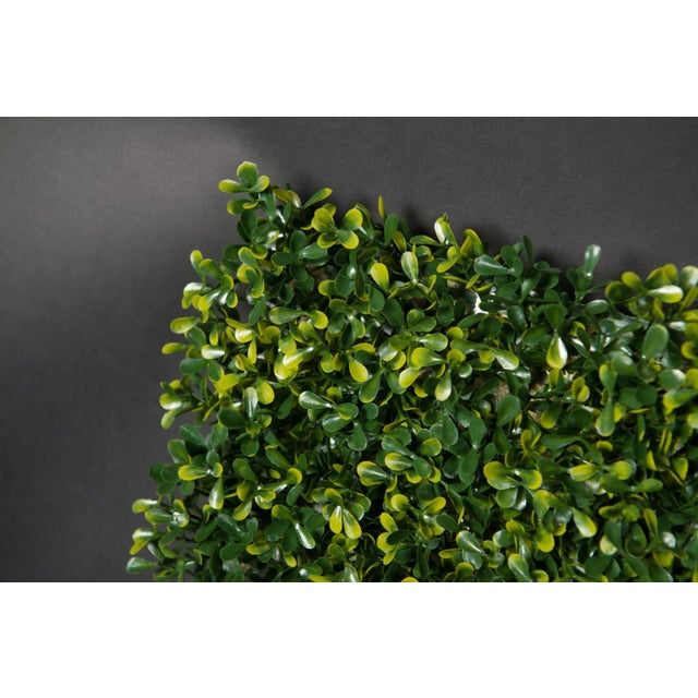 Modular Flat Boxwood Wall Vertical Garden Panel from VGnewtrend For Sale - Image 4 of 6