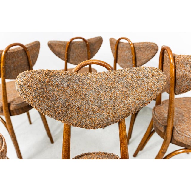 Model No. 124 Chairs attributed to Helena & Jerzy Kurmanowicz, Poland, 1960s, Set of 6 For Sale - Image 14 of 18