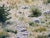 Realism Southwestern Landscape Chisum Trail New Mexico Signed Oil Painting Dated 2002 Signed For Sale - Image 9 of 18