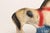 Vintage Americana Painted Red, White, and Blue Chalkware Horse Sculpture / Figurine For Sale - Image 11 of 15