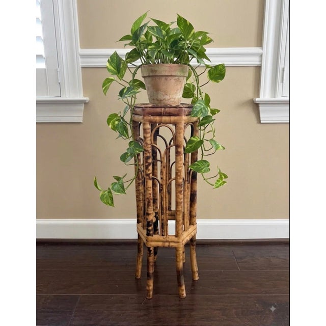 Bring organic warmth and vintage character to your space with this stunning mid-20th-century bamboo pedestal stand....