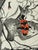 Ginette Sexer, Les insectes, Etching For Sale - Image 7 of 9