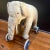 Metal 1940s/1950s Steiff Mohair Elephant on Wheels Pull Toy For Sale - Image 7 of 11