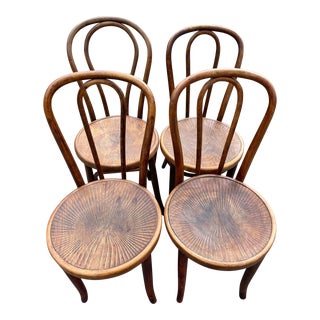 1910s Antique European Bentwood Chairs, Set of 4 For Sale