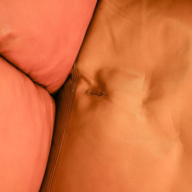 Cocker Leather Sofa by Franco Bresciani for Poltrona Frau, 1970s For Sale - Image 14 of 16