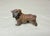 1920s Antique Miniature Cold Painted Solid Lead Bulldog Dog Figure Statue Figurine For Sale - Image 5 of 9