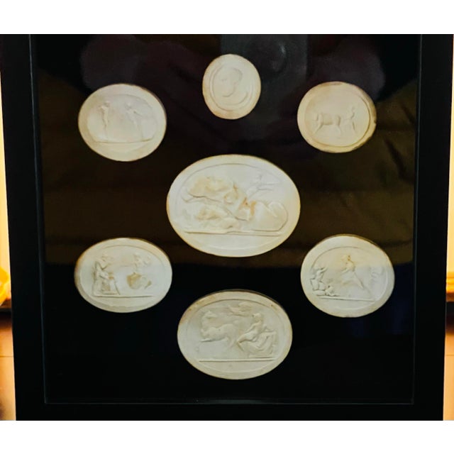 Grand Tour Grand Tour Neoclassical Plaster Intaglio Collection in Shadow Box Frame, Classical Medallions Wall Art For Sale - Image 3 of 12