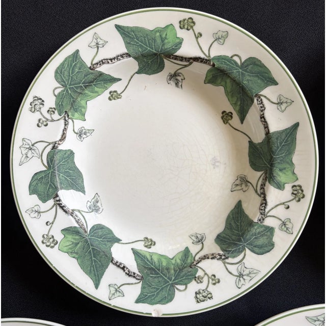 1940s Napoleon Ivy Wedgwood Soup Bowls - Set of 7 For Sale - Image 9 of 10
