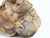 Ceramic Earthenware Japanese Hotei, Laughing Buddha, Meiji Period (1868-1912) For Sale - Image 7 of 9